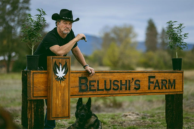 Blues Brothers Weed Products - Pre-Rolls - Belushi's Farm